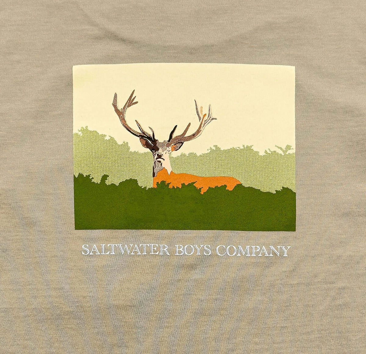 Deer Boys Graphic Tee Ss Taupe